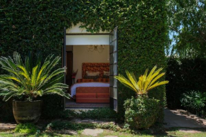 The Ivy Studio